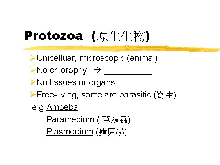 Protozoa (原生生物) ØUnicelluar, microscopic (animal) ØNo chlorophyll _____ ØNo tissues or organs ØFree-living, some