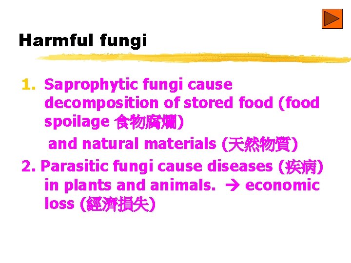 Harmful fungi 1. Saprophytic fungi cause decomposition of stored food (food spoilage 食物腐爛) and