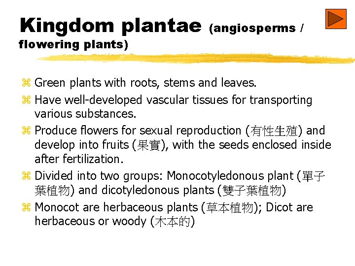 Kingdom plantae flowering plants) (angiosperms / z Green plants with roots, stems and leaves.