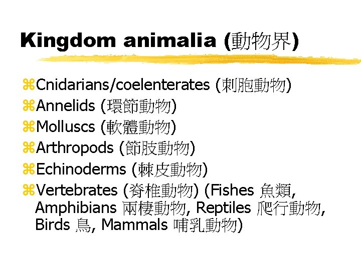 Kingdom animalia (動物界) z. Cnidarians/coelenterates (刺胞動物) z. Annelids (環節動物) z. Molluscs (軟體動物) z. Arthropods