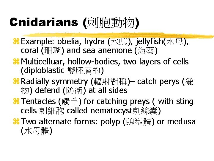 Cnidarians (刺胞動物) z Example: obelia, hydra (水螅), jellyfish(水母), coral (珊瑚) and sea anemone (海葵)