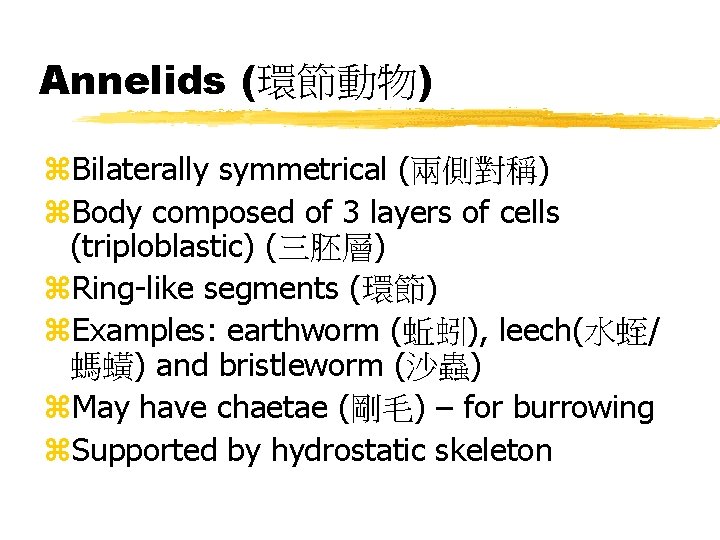 Annelids (環節動物) z. Bilaterally symmetrical (兩側對稱) z. Body composed of 3 layers of cells