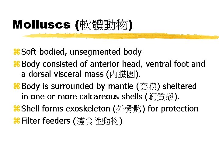Molluscs (軟體動物) z Soft-bodied, unsegmented body z Body consisted of anterior head, ventral foot