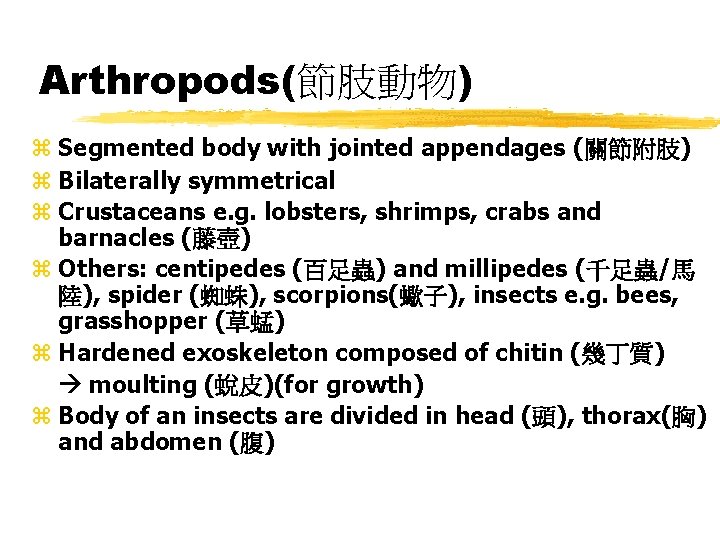 Arthropods(節肢動物) z Segmented body with jointed appendages (關節附肢) z Bilaterally symmetrical z Crustaceans e.