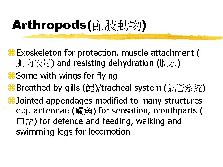 Arthropods(節肢動物) z Exoskeleton for protection, muscle attachment ( 肌肉依附) and resisting dehydration (脫水) z