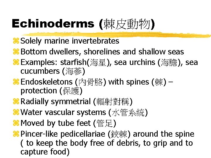 Echinoderms (棘皮動物) z Solely marine invertebrates z Bottom dwellers, shorelines and shallow seas z