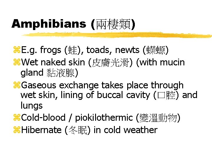 Amphibians (兩棲類) z. E. g. frogs (蛙), toads, newts (蠑螈) z. Wet naked skin