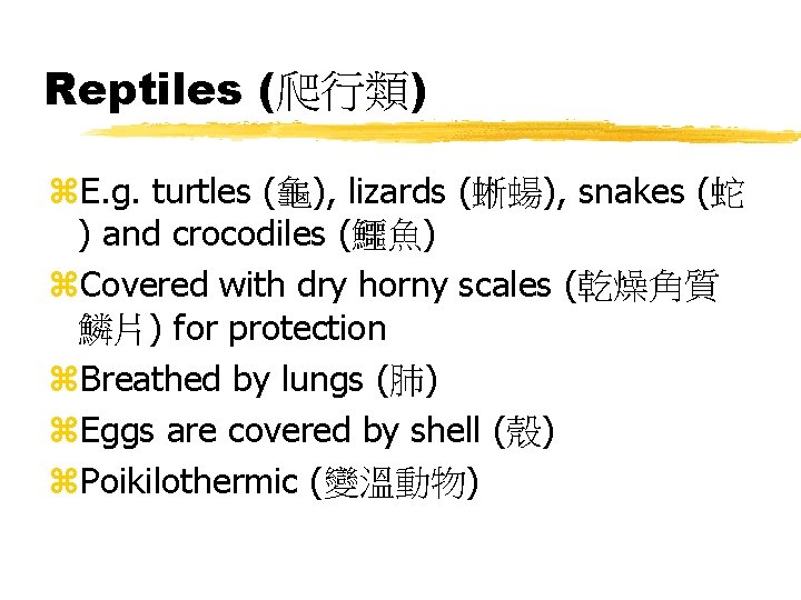 Reptiles (爬行類) z. E. g. turtles (龜), lizards (蜥蝪), snakes (蛇 ) and crocodiles