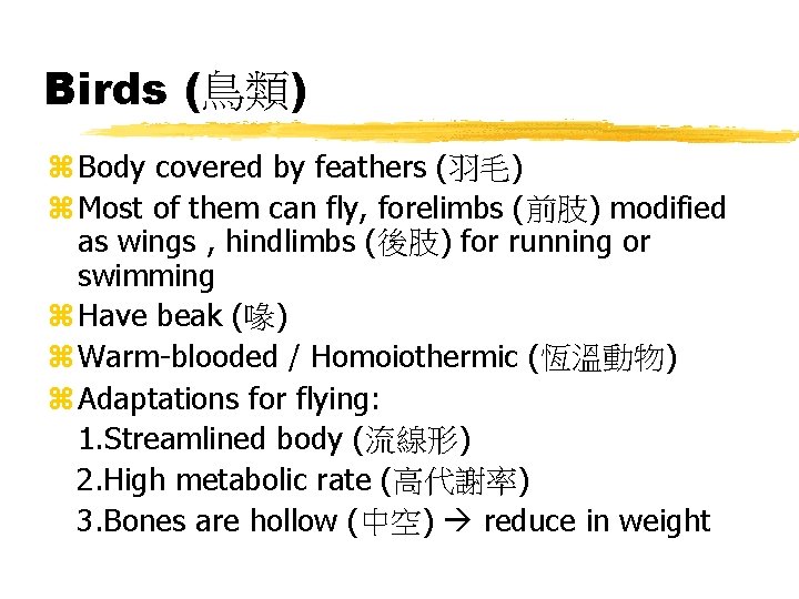 Birds (鳥類) z Body covered by feathers (羽毛) z Most of them can fly,