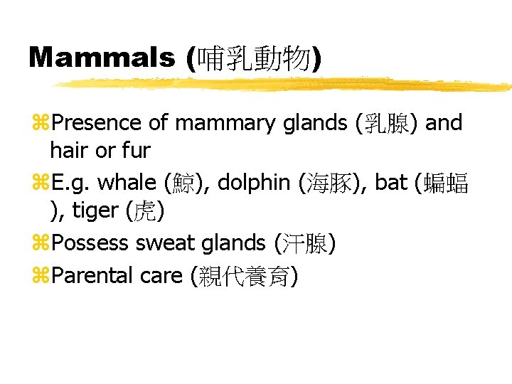 Mammals (哺乳動物) z. Presence of mammary glands (乳腺) and hair or fur z. E.