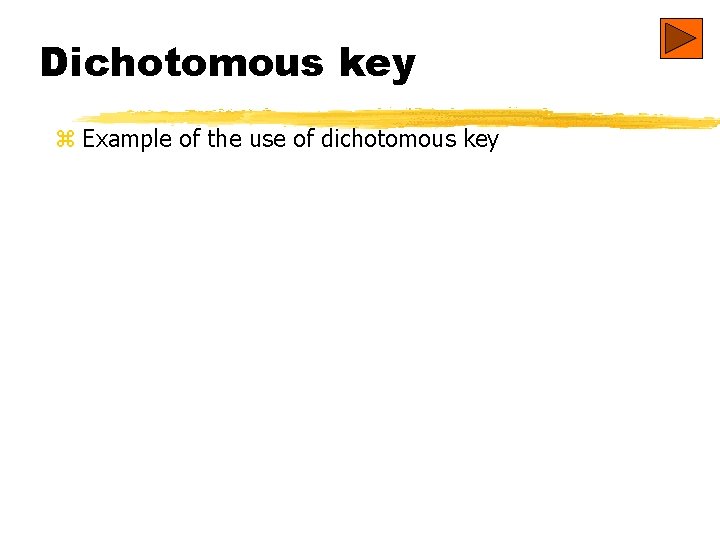 Dichotomous key z Example of the use of dichotomous key 