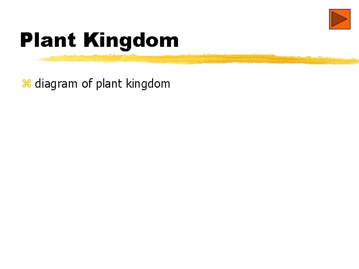 Plant Kingdom z diagram of plant kingdom 
