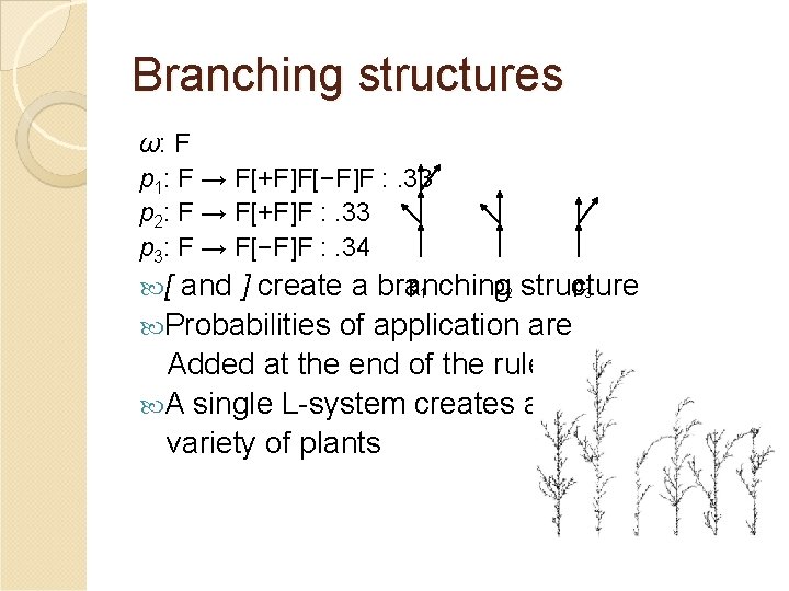 Branching structures ω: F p 1: F → F[+F]F[−F]F : . 33 p 2: