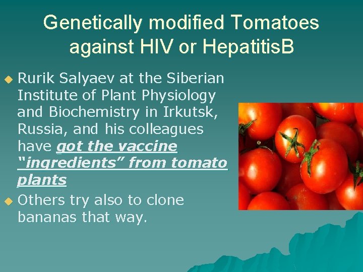 Genetically modified Tomatoes against HIV or Hepatitis. B Rurik Salyaev at the Siberian Institute