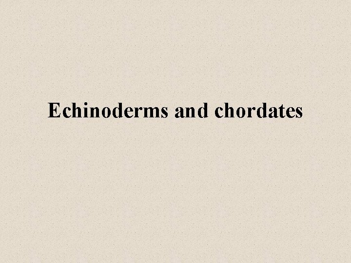 Echinoderms and chordates 
