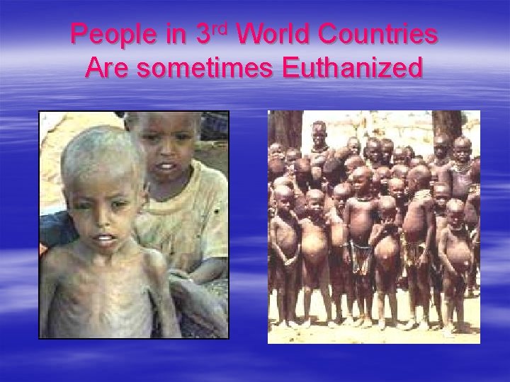 People in 3 rd World Countries Are sometimes Euthanized 