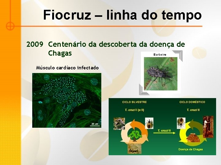 Fiocruz – linha do tempo 2009 Centenário da descoberta da doença de Chagas Músculo