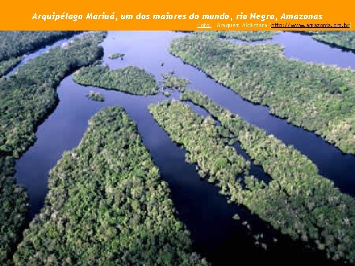 Arquipélago Mariuá, um dos maiores do mundo, rio Negro, Amazonas Foto: Araquém Alcântara (http: