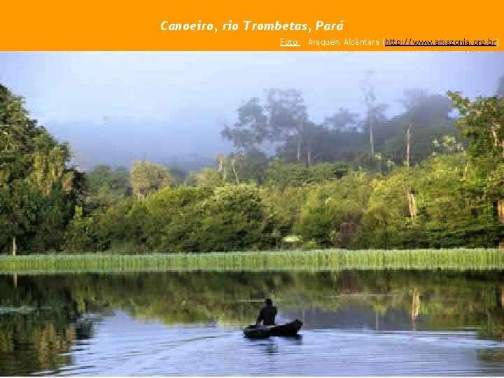 Canoeiro, rio Trombetas, Pará Foto: Araquém Alcântara (http: //www. amazonia. org. br) 