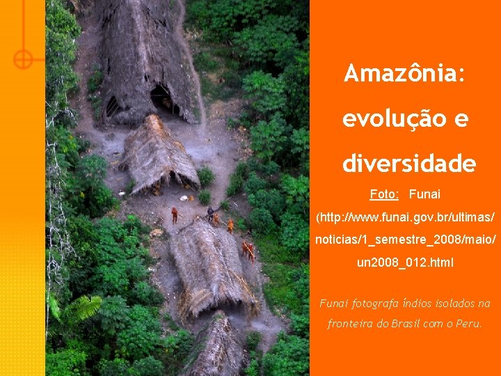 Amazônia: evolução e diversidade Foto: Funai (http: //www. funai. gov. br/ultimas/ noticias/1_semestre_2008/maio/ un 2008_012.