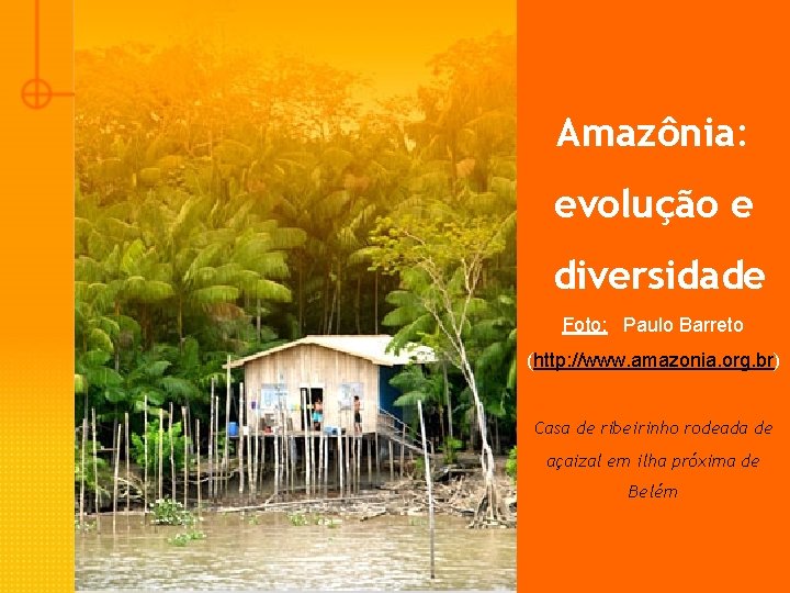 Amazônia: evolução e diversidade Foto: Paulo Barreto (http: //www. amazonia. org. br) Casa de