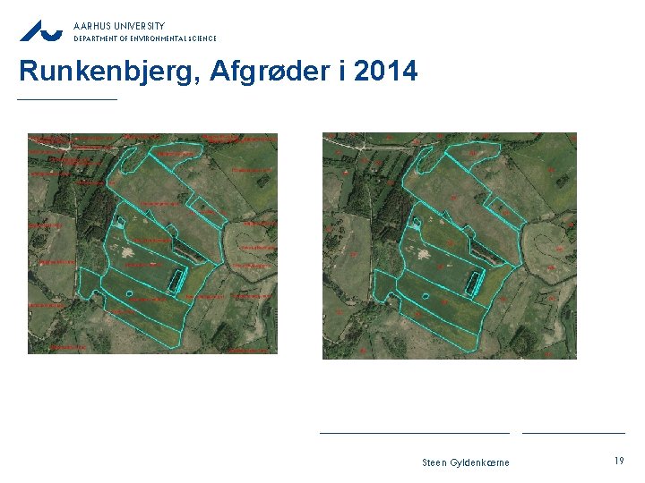AARHUS UNIVERSITY DEPARTMENT OF ENVIRONMENTAL SCIENCE Runkenbjerg, Afgrøder i 2014 Steen Gyldenkærne 19 AARHUS UNIVERSITY DEPARTMENT OF ENVIRONMENTAL SCIENCE Runkenbjerg, Afgrøder i 2014 Steen Gyldenkærne 19