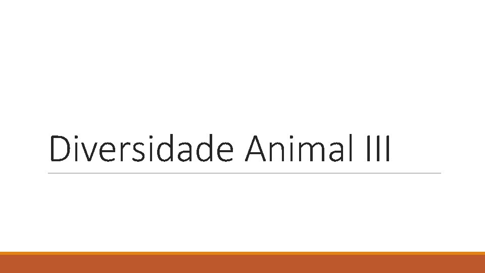 Diversidade Animal III Diversidade Animal III