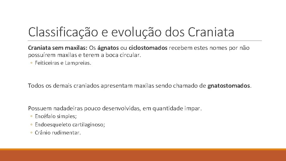 Classificação e evolução dos Craniata sem maxilas: Os ágnatos ou ciclostomados recebem estes nomes Classificação e evolução dos Craniata sem maxilas: Os ágnatos ou ciclostomados recebem estes nomes