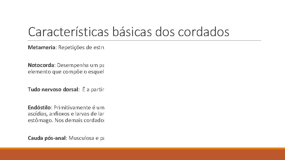 Características básicas dos cordados Metameria: Repetições de estruturas no corpo. Notocorda: Desempenha um papel Características básicas dos cordados Metameria: Repetições de estruturas no corpo. Notocorda: Desempenha um papel