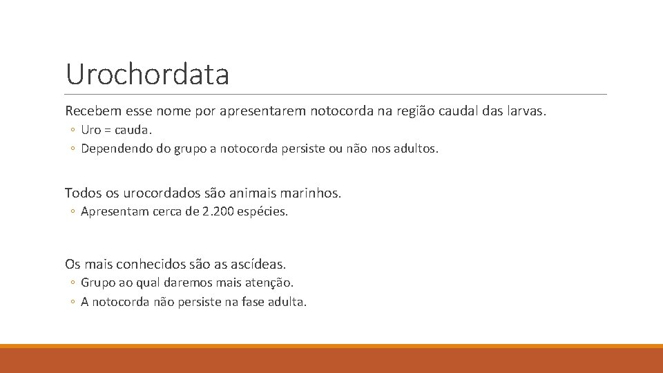 Urochordata Recebem esse nome por apresentarem notocorda na região caudal das larvas. ◦ Uro Urochordata Recebem esse nome por apresentarem notocorda na região caudal das larvas. ◦ Uro