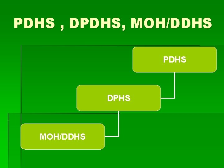 PDHS , DPDHS, MOH/DDHS PDHS DPHS MOH/DDHS 