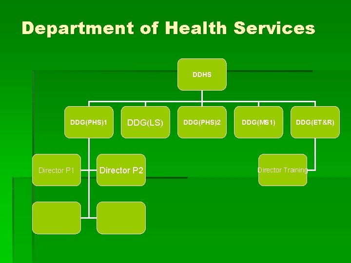 Department of Health Services DDHS DDG(PHS)1 Director P 1 DDG(LS) Director P 2 DDG(PHS)2