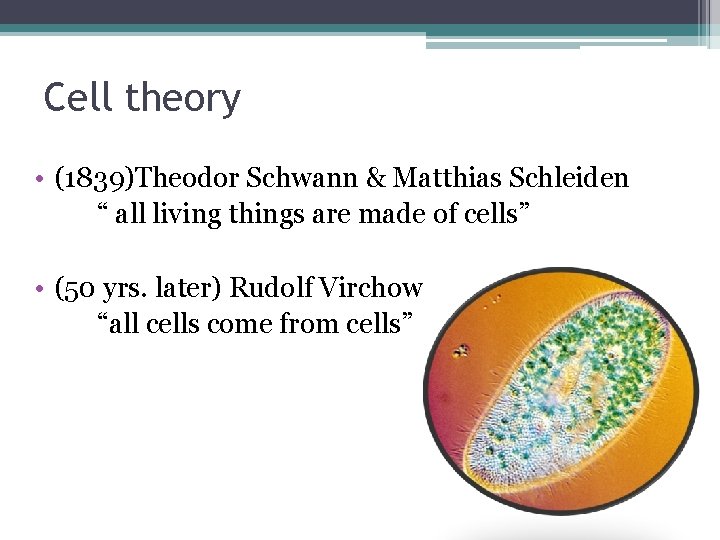 Cell theory • (1839)Theodor Schwann & Matthias Schleiden “ all living things are made