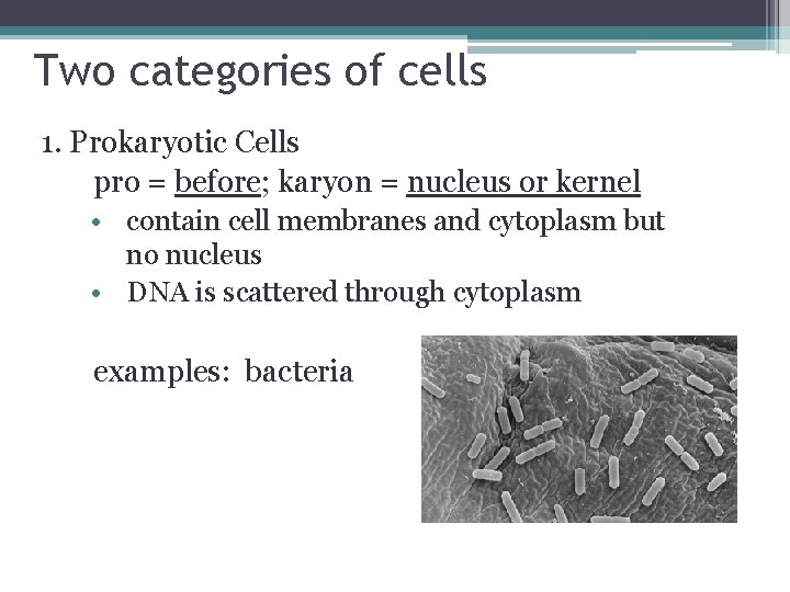 Two categories of cells 1. Prokaryotic Cells pro = before; karyon = nucleus or