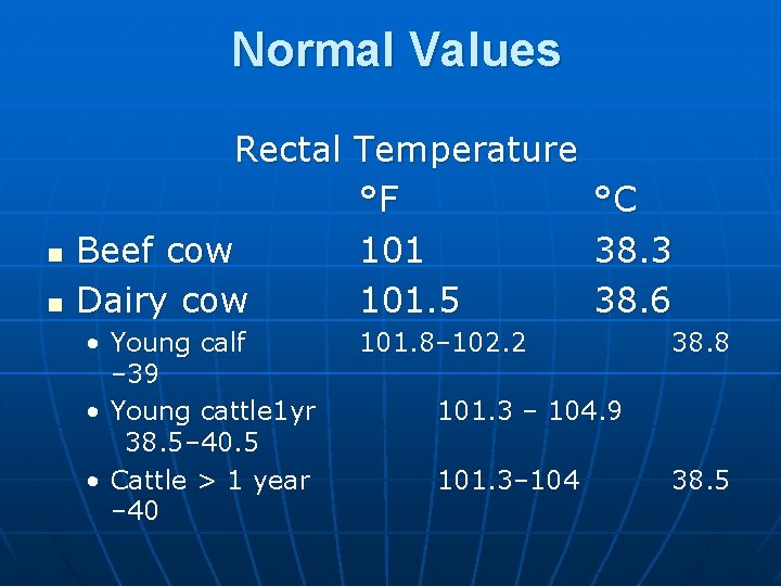 The Physical Examination Cattle II Procedures Equipment Halter