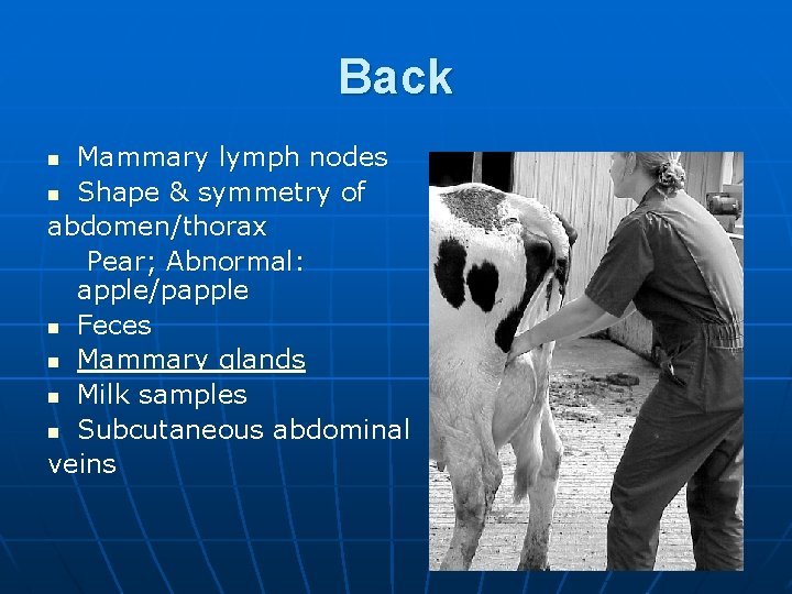 Back Mammary lymph nodes n Shape & symmetry of abdomen/thorax Pear; Abnormal: apple/papple n