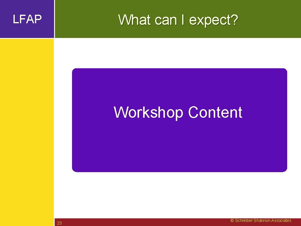 What can I expect? LFAP Workshop Content 23 © Schreiber Shannon Associates 