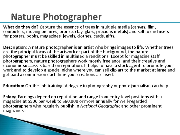 Nature Photographer What do they do? Capture the essence of trees in multiple media