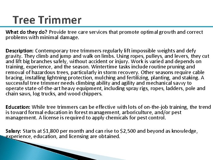 Tree Trimmer What do they do? Provide tree care services that promote optimal growth
