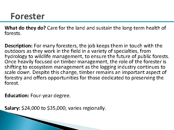 Forester What do they do? Care for the land sustain the long-term health of