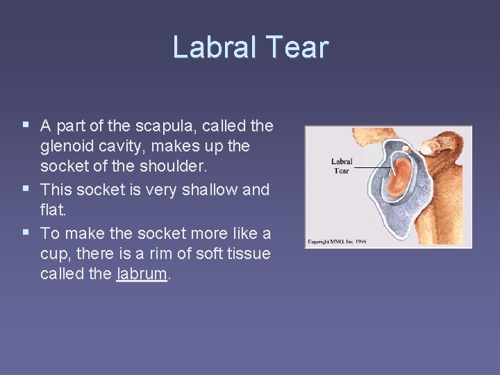 Function of glenoid labrum