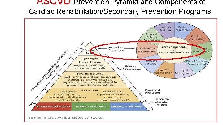 ASCVD Prevention Pyramid and Components of Cardiac Rehabilitation/Secondary Prevention Programs ASCVD Prevention Pyramid and Components of Cardiac Rehabilitation/Secondary Prevention Programs
