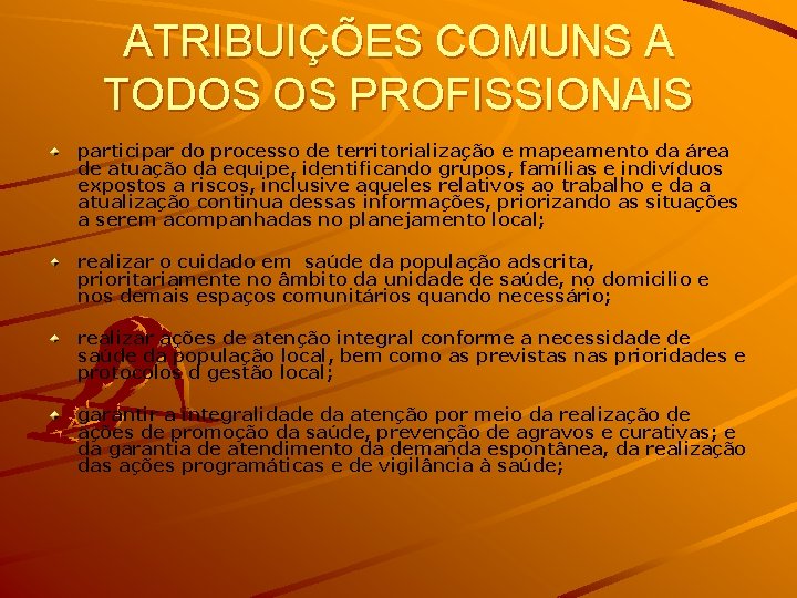 ATRIBUIÇÕES COMUNS A TODOS OS PROFISSIONAIS participar do processo de territorialização e mapeamento da