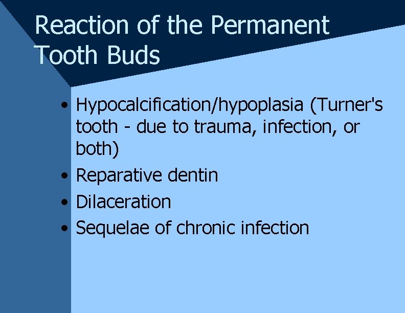 Reaction of the Permanent Tooth Buds • Hypocalcification/hypoplasia (Turner's tooth - due to trauma, Reaction of the Permanent Tooth Buds • Hypocalcification/hypoplasia (Turner's tooth - due to trauma,