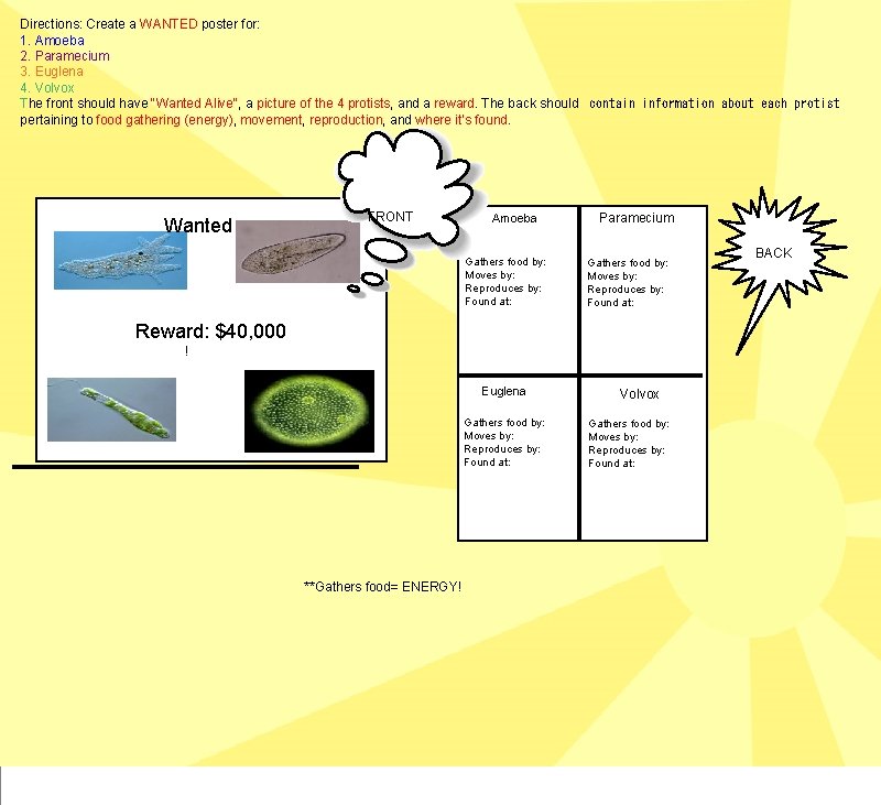 Directions: Create a WANTED poster for: 1. Amoeba 2. Paramecium 3. Euglena 4. Volvox