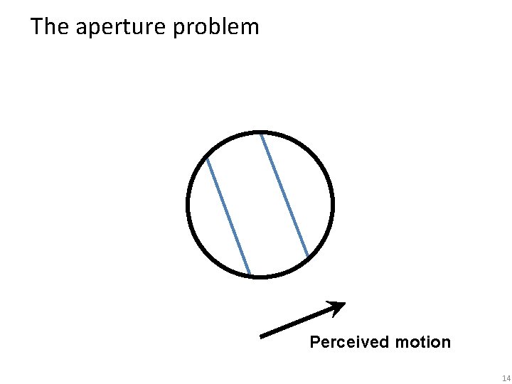 The aperture problem Perceived motion 14 