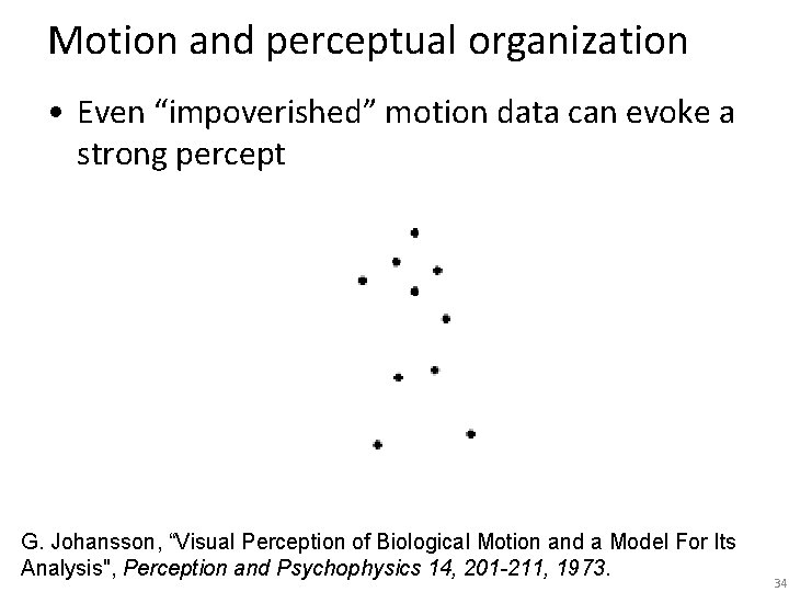 Motion and perceptual organization • Even “impoverished” motion data can evoke a strong percept
