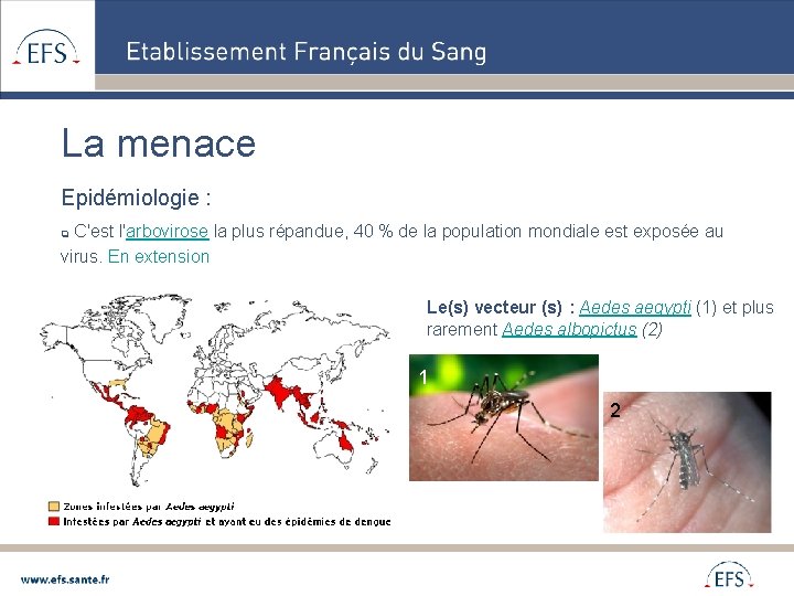 La menace Epidémiologie : C'est l'arbovirose la plus répandue, 40 % de la population