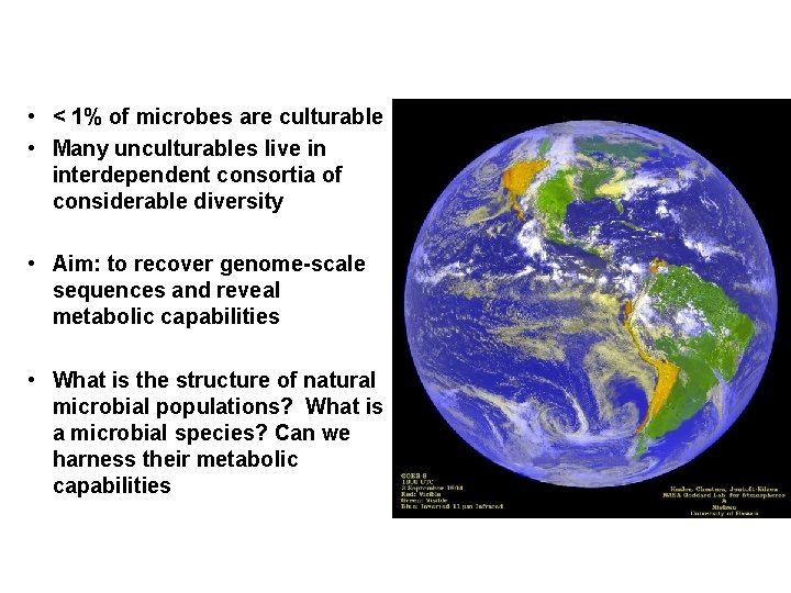  • < 1% of microbes are culturable • Many unculturables live in interdependent