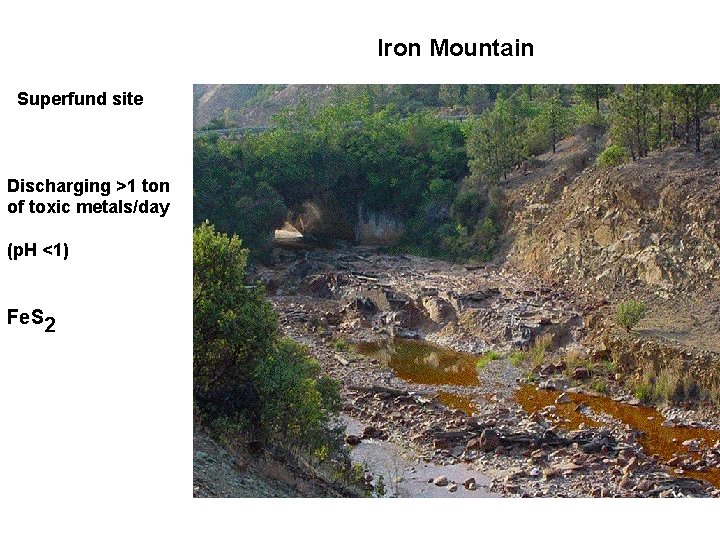 Iron Mountain Superfund site Discharging >1 ton of toxic metals/day (p. H <1) Fe.